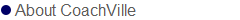 About CoachVille